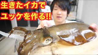 スミ大噴射！！元気なアオリイカでユッケを作って食う！！