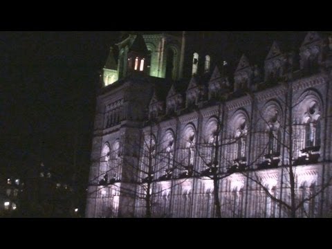 Wideo: Sleepovers w Amerykańskim Muzeum Historii Naturalnej