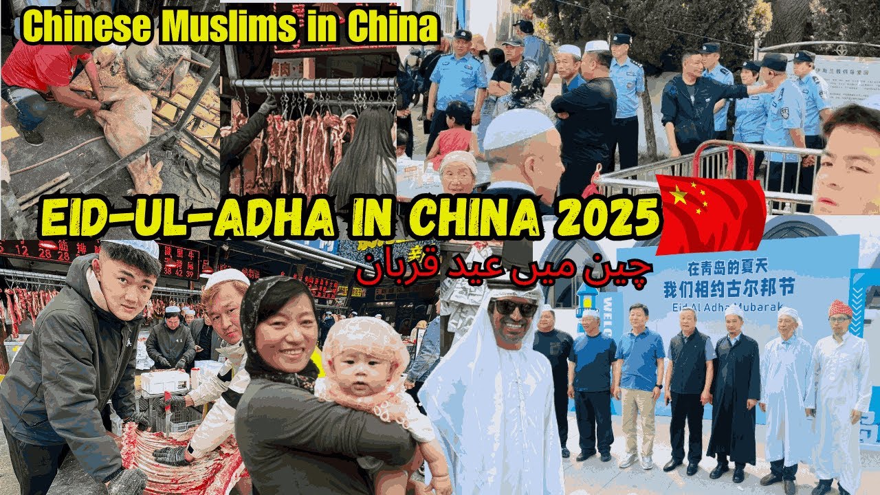 Eid-ul-Adha in China | Chinese Muslims | Eid Celebration in China | China Eid  | Foreigner in China
