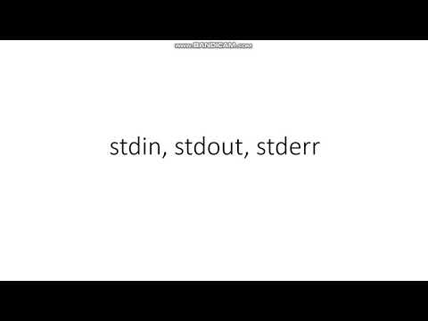 Standard Input/Output in