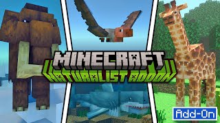 NATURALIST ADDS 100+ ANIMALS TO MINECRAFT SURVIVAL Add-On Xbox, Playstation, Switch, Mobile, PC