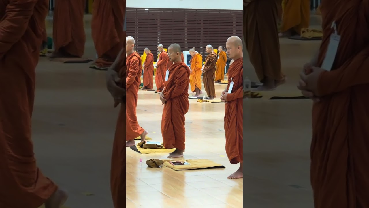 🙏น่าเลื่อมใสศรัทธา🙏 #ทำวัตรเย็น สวดมนต์ครึ่งชม.➡️ เดิน ๑ ชม. ➡️นั่ง ๑ ชม. #วิปัสสนาธุระ