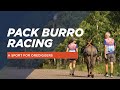 Pack Burro Racing: A Sport for Orediggers