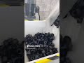 Shredder #machinery #satisfying