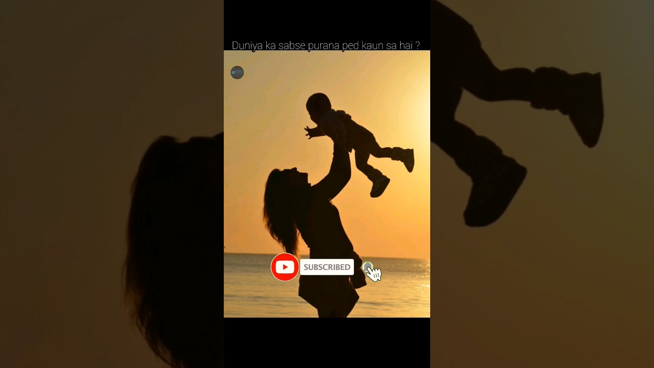 Duniya ka sabse purana ped kaun sa hai ? amazingfacts ytshorts