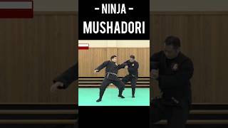 Martial Arts technique - Ninja - Mushadori #technique #ninja #martialart