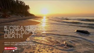 5 Creatures That Defy Death | Full Documentary on Immortal Animals