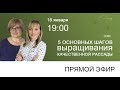 Пять основных шагов выращивания качественной рассады | Прямой эфир