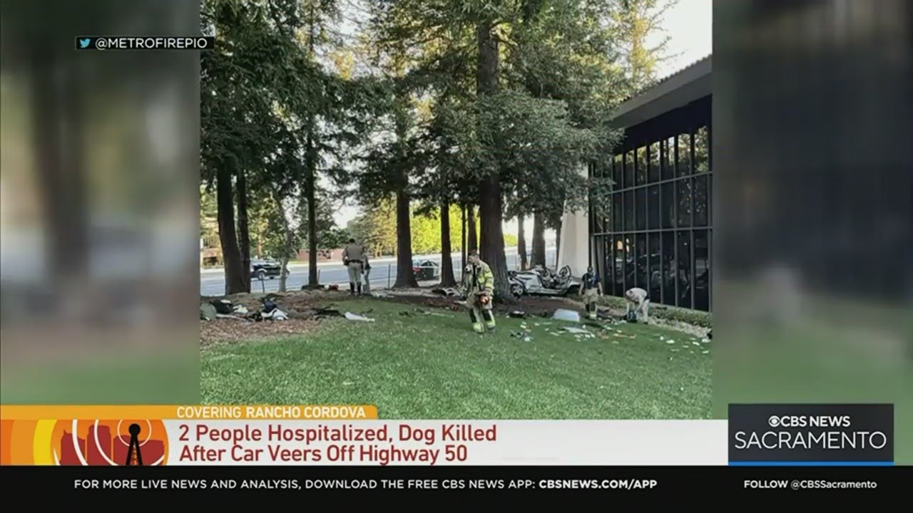 Car crashes off Highway 50 into Rancho Cordova business park; dog dies