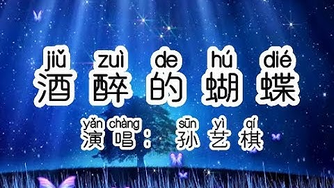 Chinese - 中国語歌ピンイン付き《酒醉的蝴蝶》learn Chinese with pop song 听歌学中文6