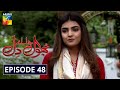 Bhool Jaa Ay Dil Episode 48 HUM TV Drama 20 January 2021