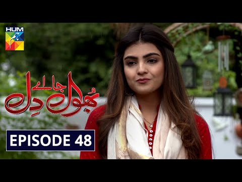 Bhool — Episode 48