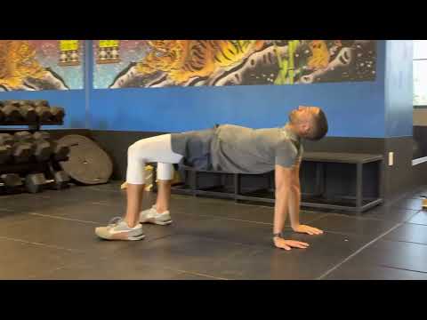 Reverse Plank Bridge Hip Lifts