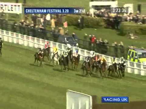 2011 totesport Cheltenham Gold Cup Chase
