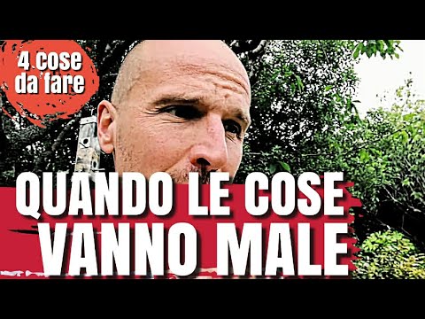 Video: Cosa Fare Quando Le Cose Vanno Male