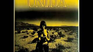 Unida-MFNO