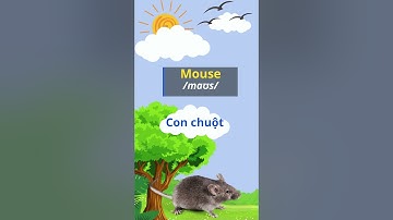 Nhận biết con Chuột qua hình ảnh và tiếng kêu. Học cùng Đậu Đậu TV #Shorts