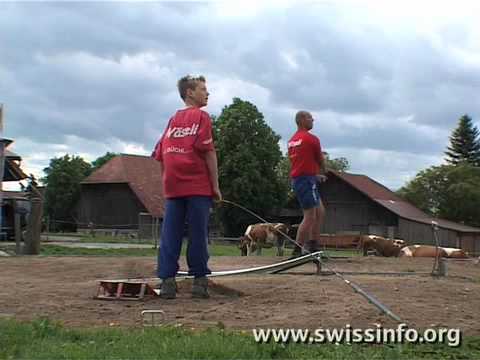 Hornussen - the sport of Swiss farmers