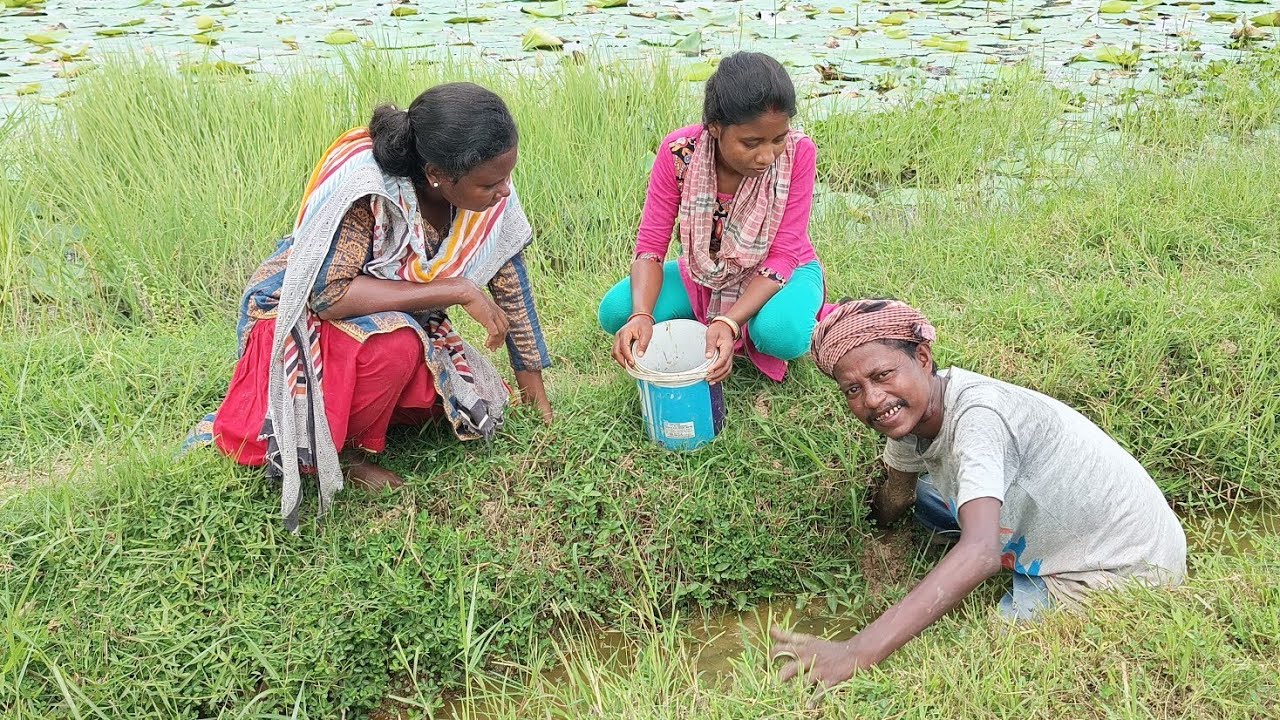 কাঁকড়ার রেসিপি তো অনেক খেয়েছেন একবার কদম দিয়ে এভাবে খেয়ে দেখুন || village food