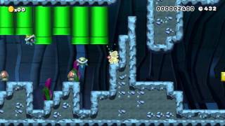 Hype Level Maximum by Hype - Super Mario Maker - No Commentary 1AE