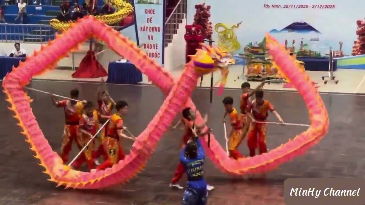 LSR 2025 / HCV  Rồng Truyền Thống / Đơn Vị Ninh Bình #liondance #barongsai #lsr