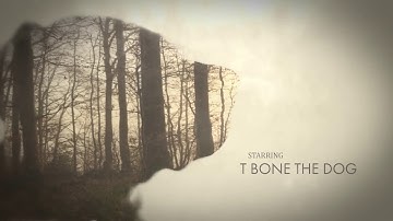 True Detective Intro Style After Effect Experiment