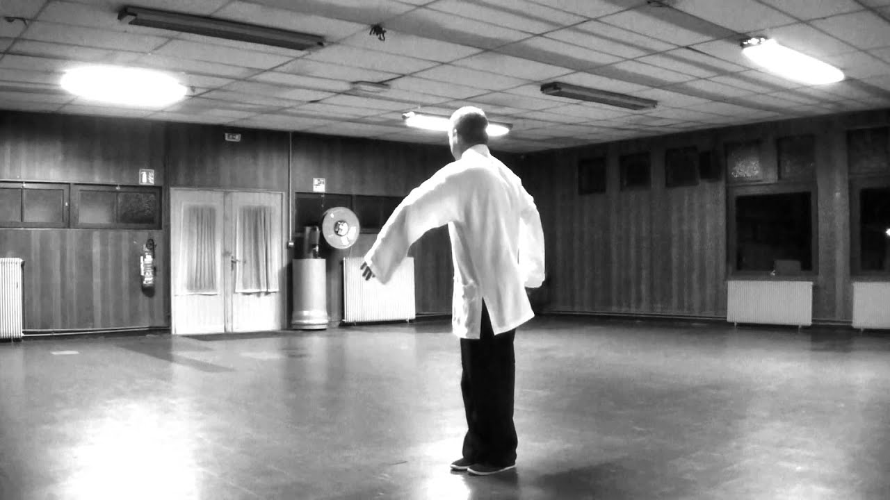 DAO YIN yangsheng gong Shi Er Fa: SHUANGYU XUANGE