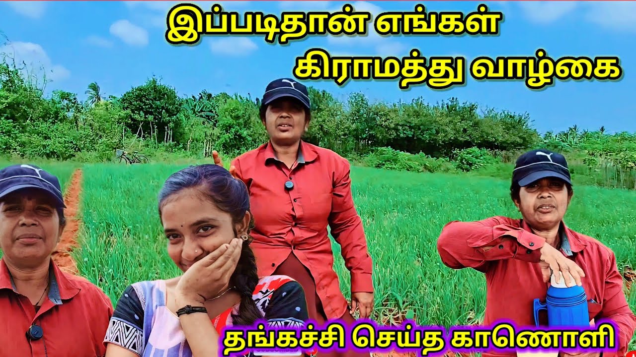 😍இன்றய நாள் எமது பொழுது இப்படிதான் @Jansanview 