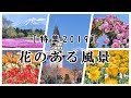 2019年 総集編 [1] 花のある風景（関東甲信） [4K] Scenery with flowers 2019