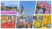 大地を覆い尽くすファンタジー 世界の絶景お花畑10選 Youtube