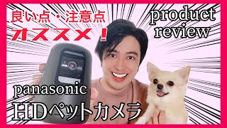 【おすすめ】最新パナソニックHDペットカメラを使用した感想と注意点　犬猫用　panasonic HD pet camera 【product review】実際の撮影映像付き　画質等確認