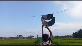 Story WA layangan bapangan pegon semok