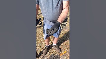 MODERN MAN AND HIS MANTICORE FIND TREASURE  #shorts #viral #youtubeshort #manticore