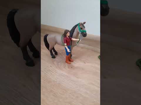 😂 #конь #верховая #пони #лошадь #кобыла #лошади #хоббихорсинг