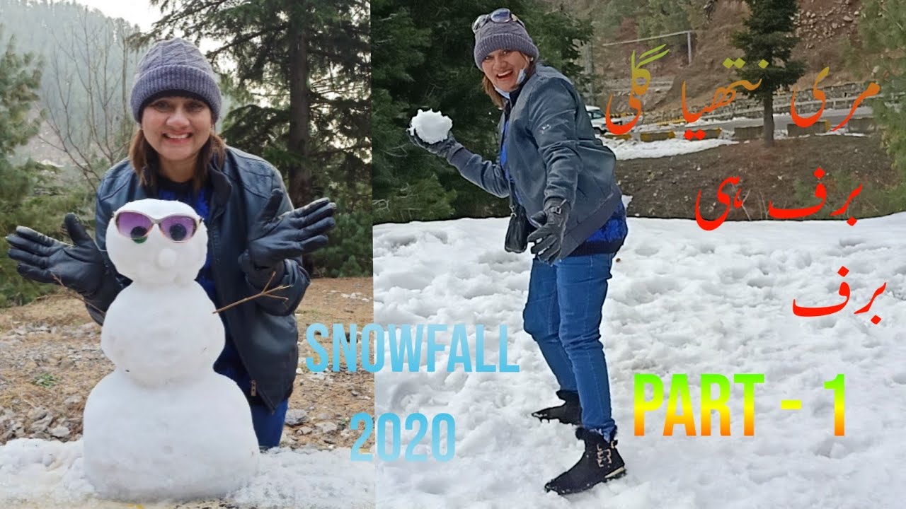 murre snowfall Ayubia