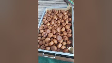 gà nướng Cơm Lam Tây Nguyên Xanh