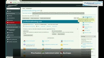 Plesk 12.5 como crear un backup