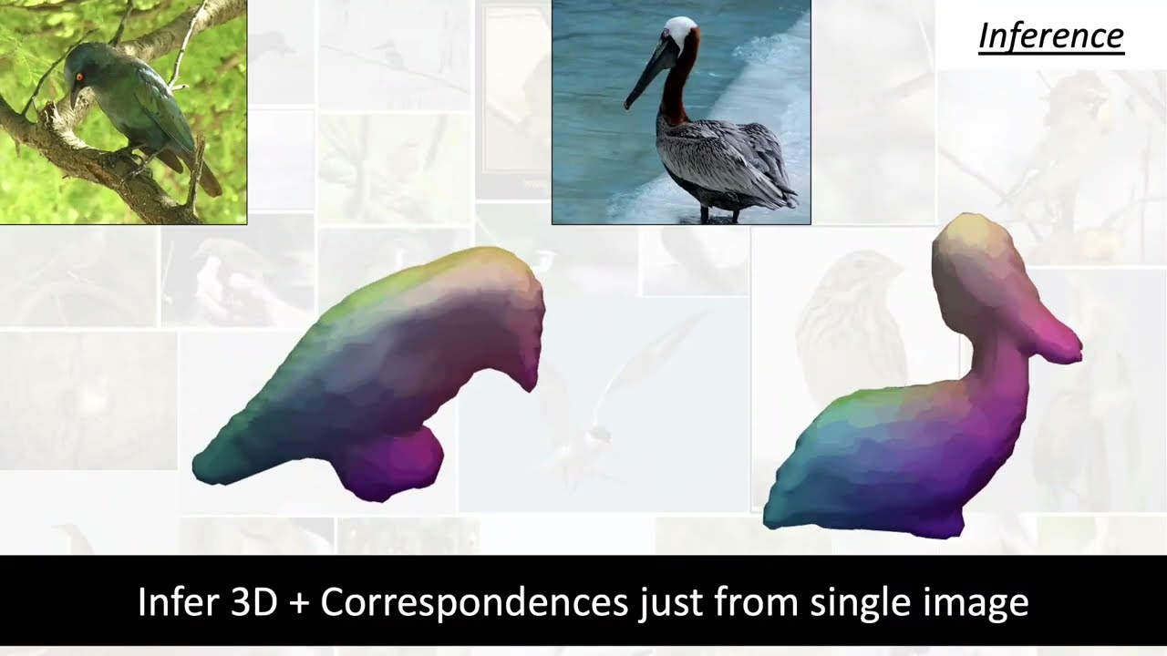 CVPR 2022: Predicting 3D shape and correspondence from Single 2D Image