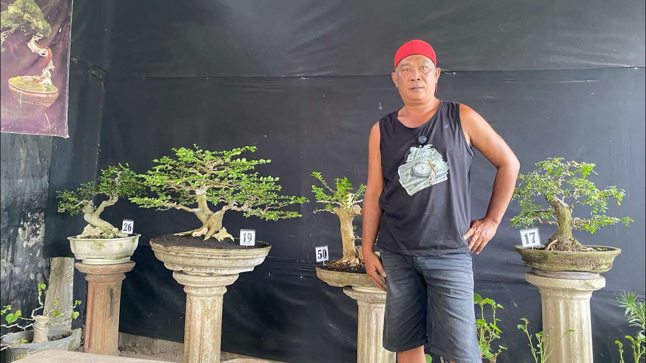 REVIUW FULL TAHAPAN NOTA ADEM😱😱😱 MINAT WA 085150612663