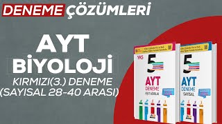 HIZ VE RENK YAYINLARI-AYT 5'Lİ DENEME BİYOLOJİ-KIRMIZI(3)  DENEME#aytbiyoloji#hızverenk#aytdeneme