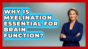 Why Is Myelination Essential For Brain Function? - Brain Development Hub