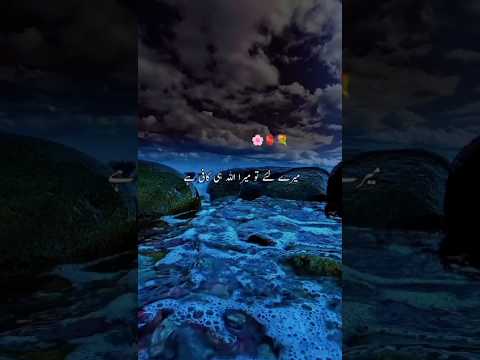 Mere Liye Mera Allah Hi Kafi Hai Beautiful Islamic Status Allah Status Shorts Islam Islamicstatu 