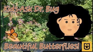 Kids Ask Dr. Bug: Fluttering jewels! MORE about beautiful butterflies!