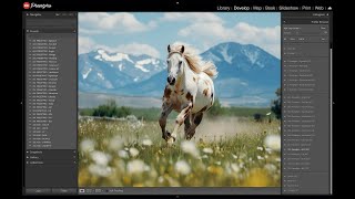 Lightroom Film Emulation - Agfa Portrait 160