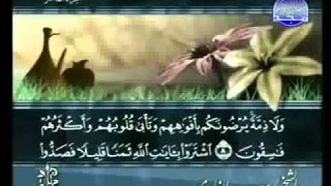 سورة التوبة من الآية 1  الى الآية 15 .flv