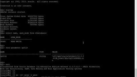 How to Start Oracle Database Services?