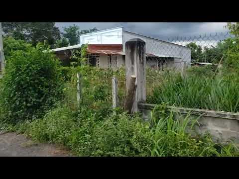 Video Bán đất lô đất sân bay lộc trước cổng ty .phù hợp làm... - youtube