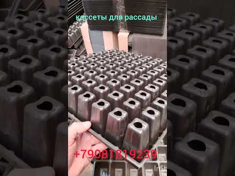 кассеты для рассады