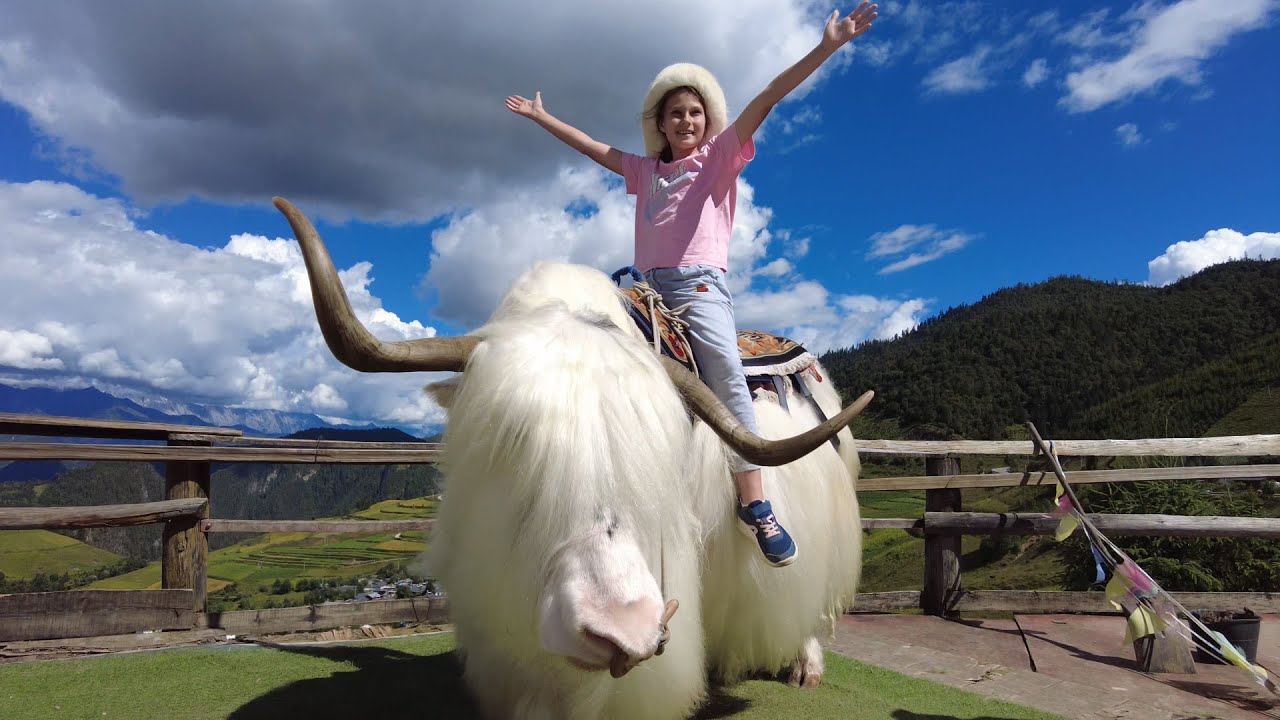 Почти Тибет. Приехали в Шангри-Ла. Первые впечатления - Жизнь в Китае #310