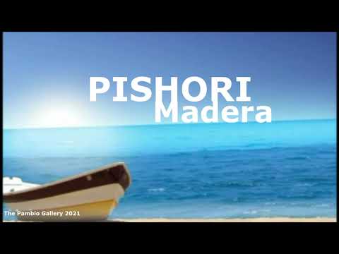 Dj Pishori    Madera Audio Extended Beat